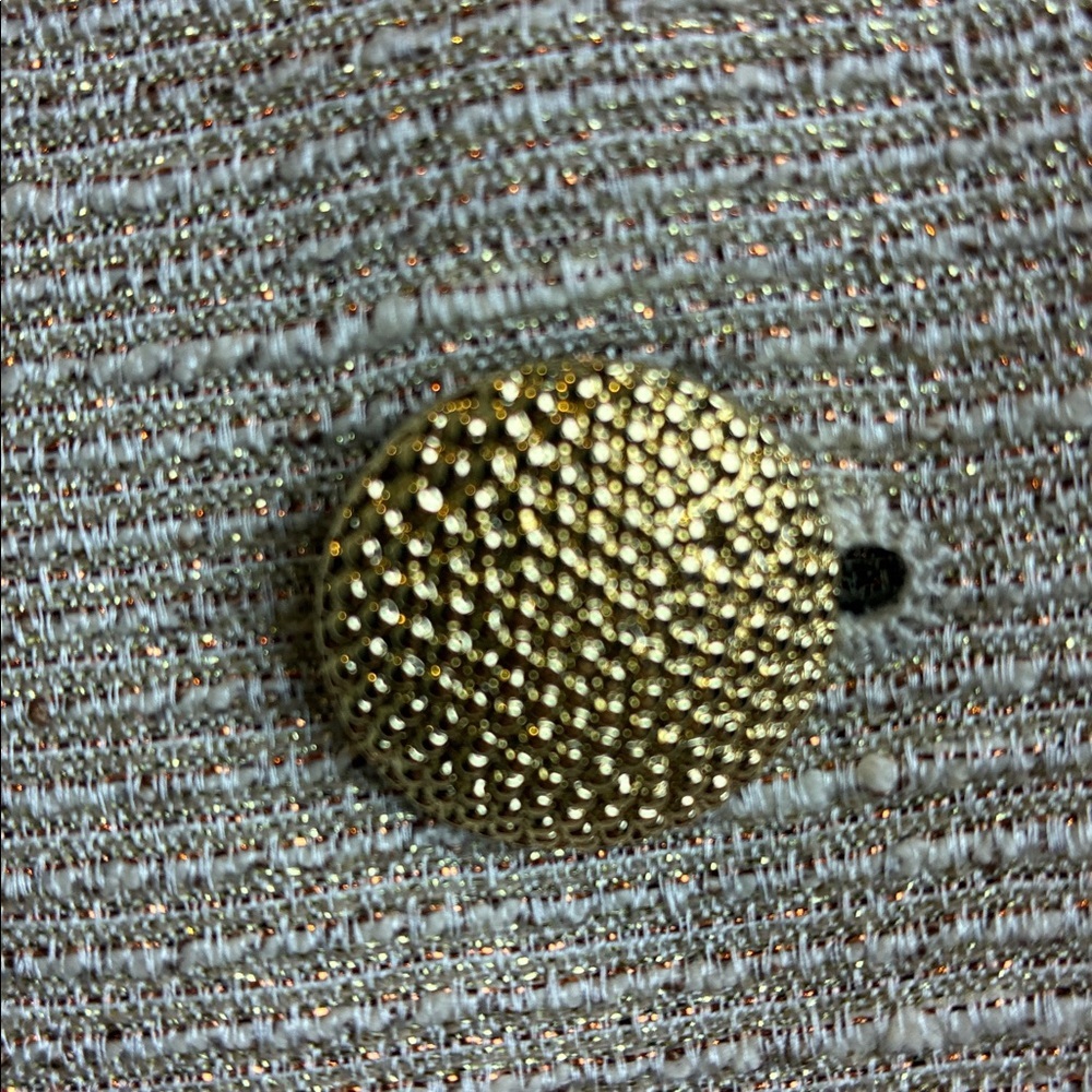 Albert Nipon NWT 2-Piece Skirt Suit Plus Sz 18 Cr… - image 4